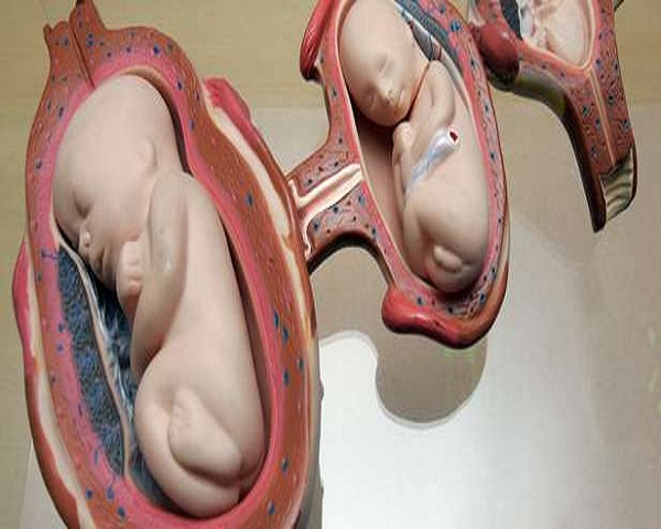 Sedes de planificación familiar pueden referir a pacientes a clínicas de aborto