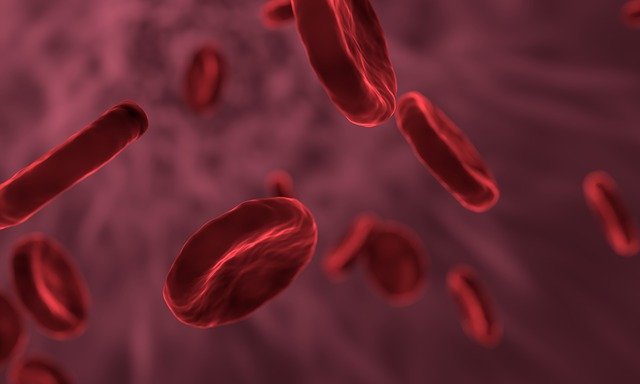 Personas con tipo de sangre O pueden ser menos vulnerables al COVID-19 telocuentonews
