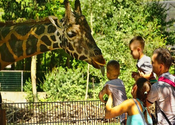 Visitantes del Zoológico de Kansas City ya no requerirán tapabocas en ninguna de sus áreas