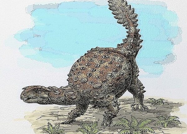 Descubren dinosaurio en Chile con una cola que desconcierta a científicos