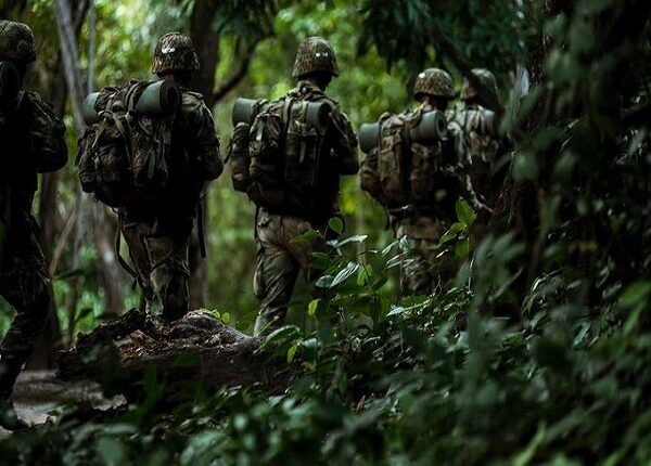 Camino a la anarquía