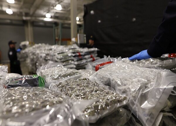 CBP descubre más de una tonelada de marihuana oculta en juguetes de piscina de espuma