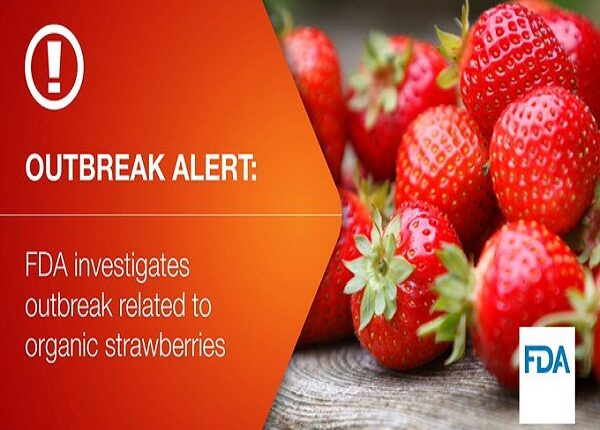 FDA investiga brote de hepatitis A que estaría vinculado con el consumo de fresas orgánicas