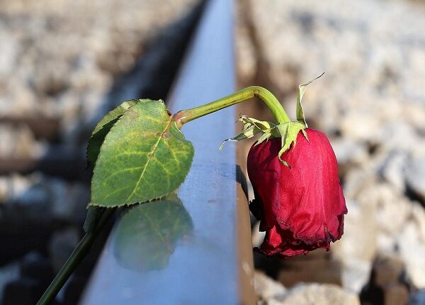 CDC revela que el 10% de los jóvenes de Estados Unidos intentó suicidarse