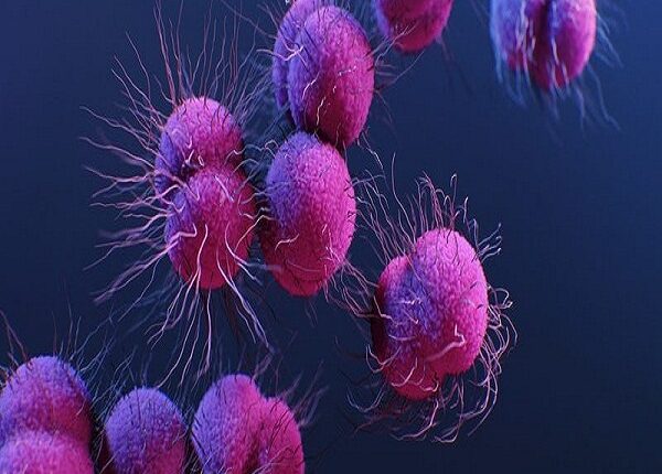 En EEUU detectan primeros casos de gonorrea inmune a varios antibióticos