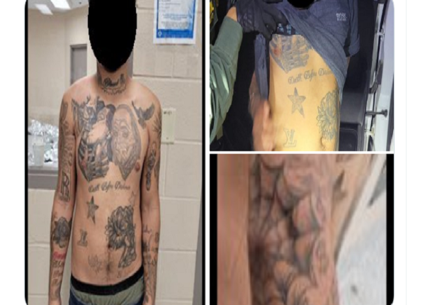 EEUU arresta a cinco pandilleros, algunos estaban dentro de grupos de inmigrantes más grandes