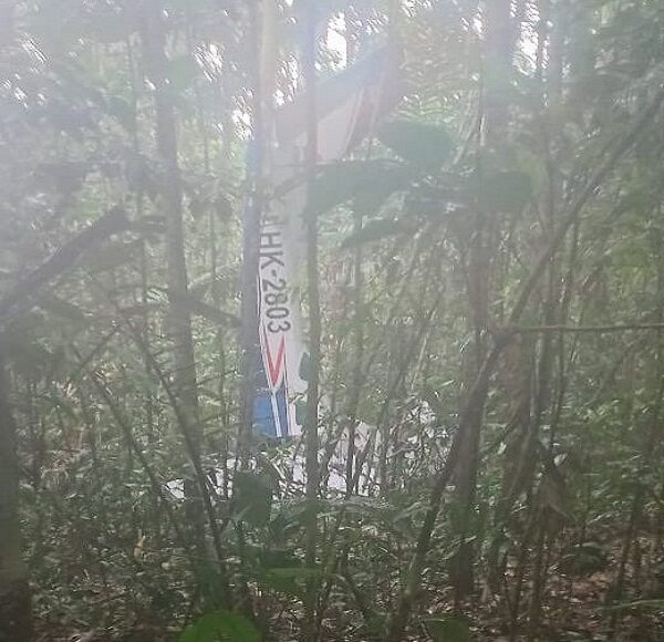 Autoridades colombianas buscan a cuatro niños desaparecidos en la Amazonía tras accidente aéreo