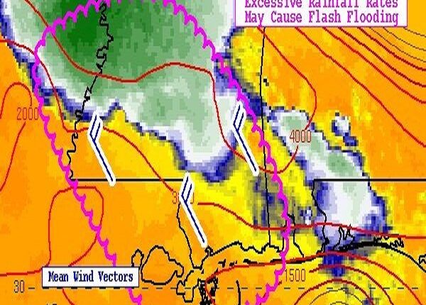 Varias zonas de EEUU se mantienen en alerta por el “calor excesivo”