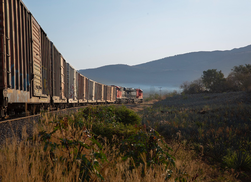 México suspende operación de “La Bestia” red de trenes usados por migrantes para llegar a EEUU
