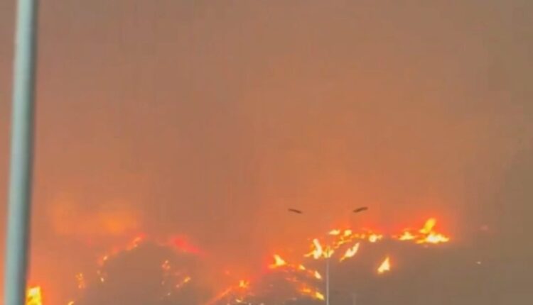 Chile declara estado de excepción por los incendios forestales que dejan al menos 10 muertos