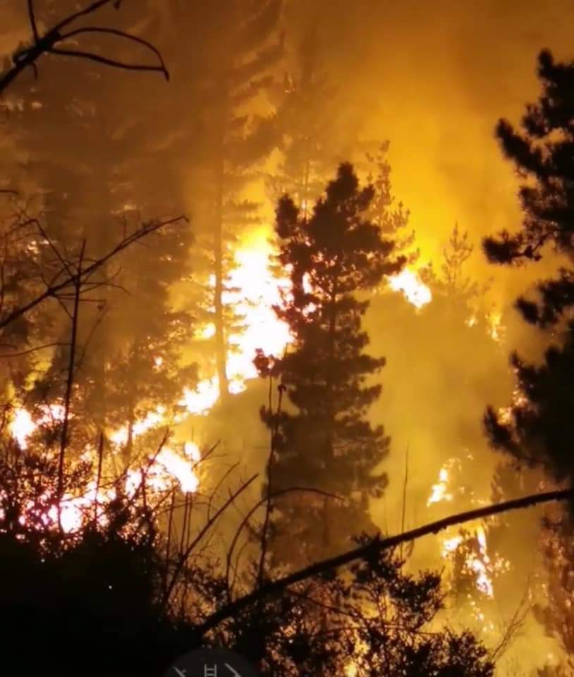 Elevan a 123 los muertos por los incendios forestales de Valparaíso, Chile