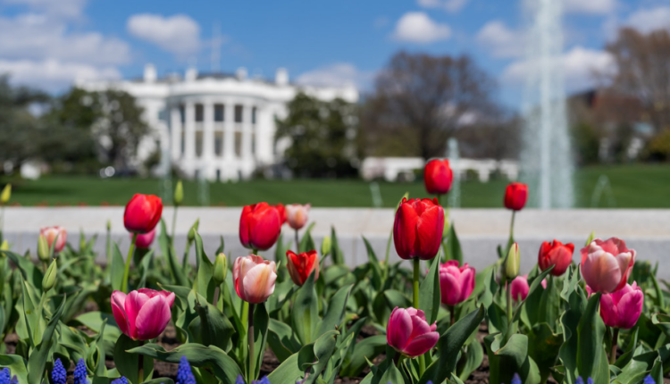 Trump recibe felicitaciones e invitación a la Casa Blanca para avanzar en la transición