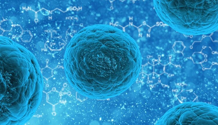 Inmunoterapia con bacterias disminuye mortalidad por la COVID-19