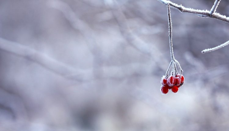 Invierno 2019