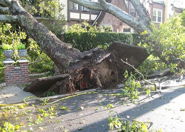 Declaran emergencia en Arkansas por tormentas y tornados