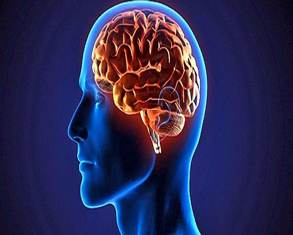Crean plataforma que agiliza los estudios sobre metástasis cerebral