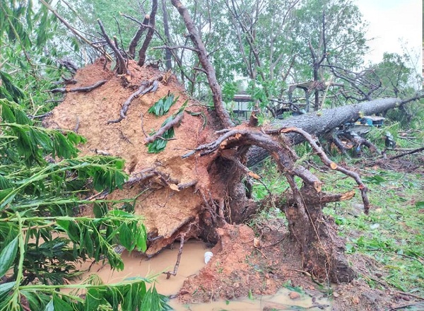 Iota dejó cerca de 38 muertos en Centroamérica y miles de damnificados