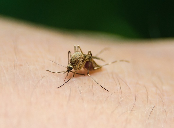Científicos brasileños aplica estrategia para detener posible pandemia en Sudamérica