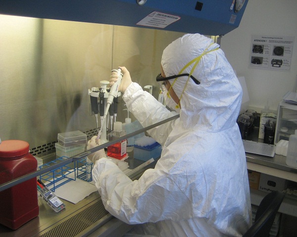 Científicos consiguieron el mapa genómico completo del coronavirus