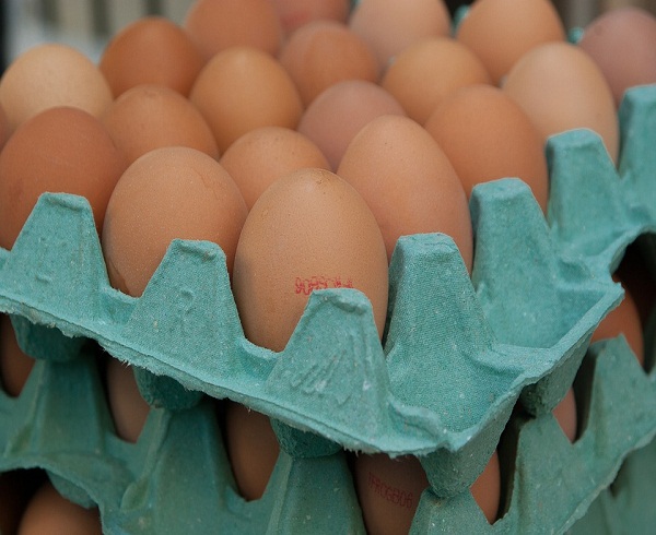 Precio de los huevos se dispara en EEUU ante mortal brote de gripe aviar
