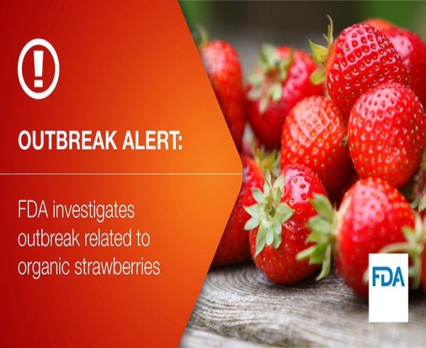 FDA investiga brote de hepatitis A que estaría vinculado con el consumo de fresas orgánicas