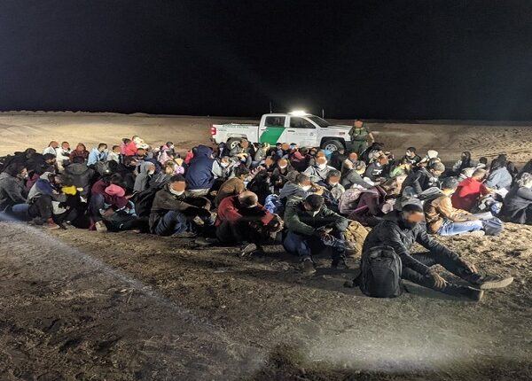 Patrulla Fronteriza de EEUU intercepta a más de 350 migrantes en menos de 24 horas