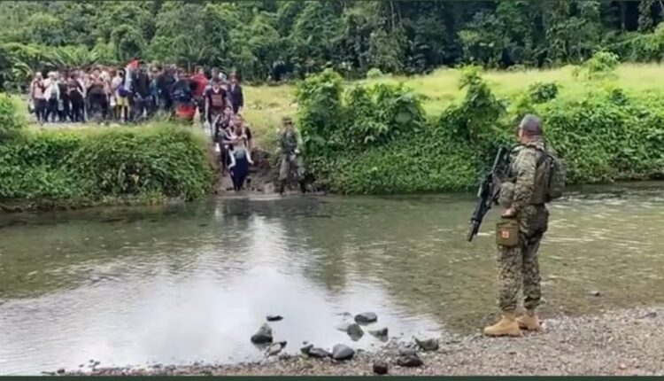 Casi 80.000 migrantes han cruzado la selva del Darién en lo que va de 2023