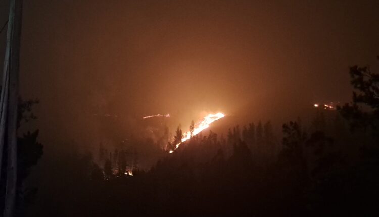 Aumentan a 26 los fallecidos en Chile por incendios forestales fuera de control