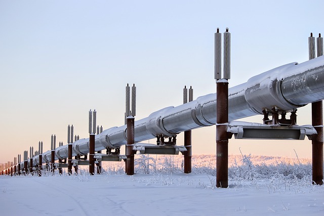 Administración de Biden aprueba el polémico proyecto de petróleo Willow en Alaska