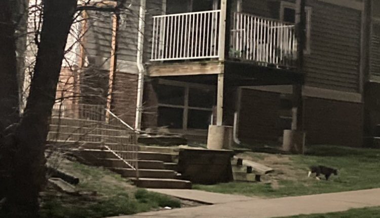 Policía de Kansas City, Missouri, investiga homicidio en la cuadra 6400 de Manchester