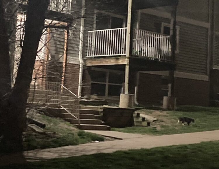 Policía de Kansas City, Missouri, investiga homicidio en la cuadra 6400 de Manchester