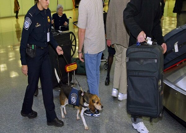 Aerolíneas de EEUU obligadas a proporcionar reembolsos automáticos a los pasajeros