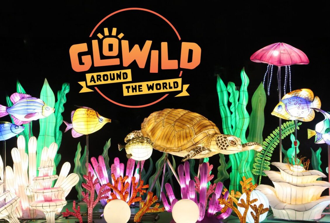 El festival de faroles GloWild regresa al zoológico de Kansas City este otoño