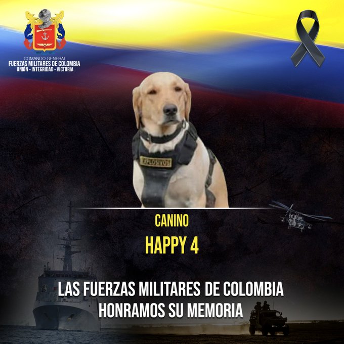 Atentado terrorista en el Meta, Colombia, mató a perro del Ejército y dejó seis heridos