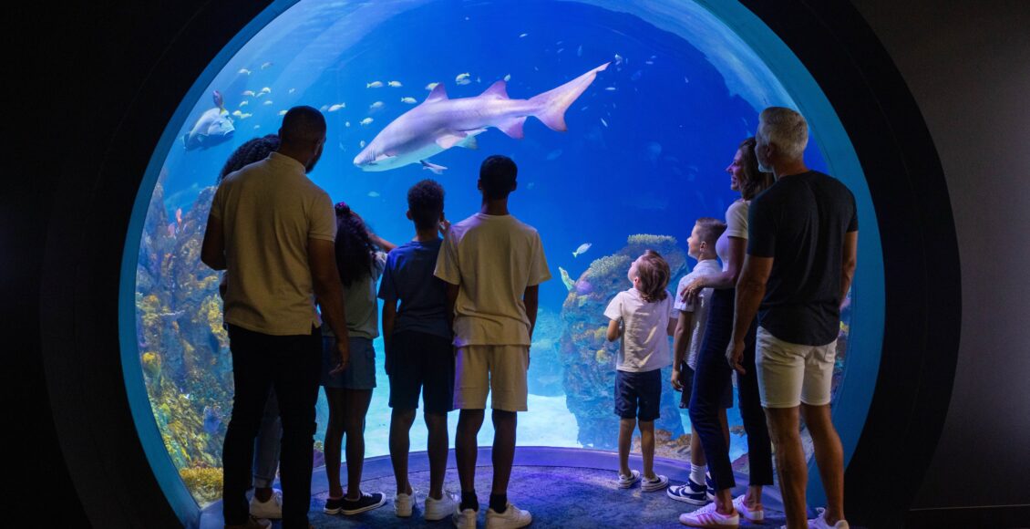 El acuario Sobela Ocean de Kansas City, Missouri, ya abrió sus puertas