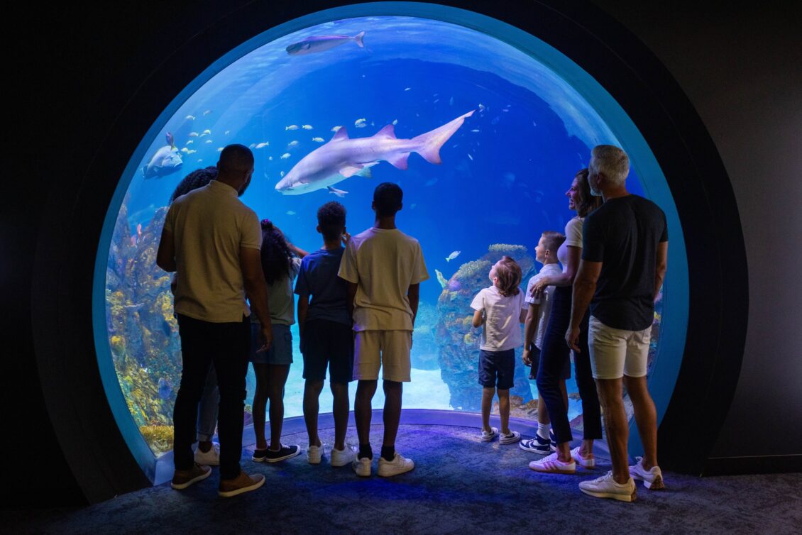 El acuario Sobela Ocean de Kansas City, Missouri, ya abrió sus puertas