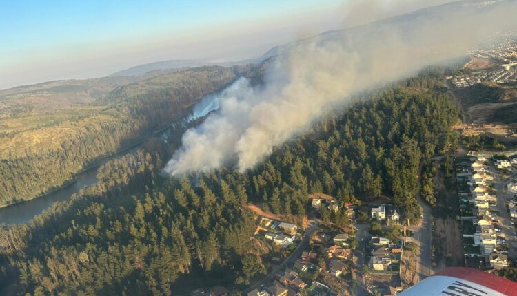 Elevan a 123 los muertos por los incendios forestales de Valparaíso, Chile