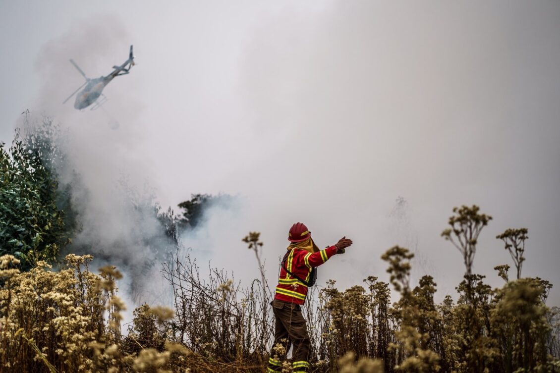 Asciende a 112 el número de muertos por los incendios forestales en Chile