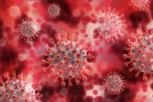 Uso "excesivo" de antibióticos durante la pandemia del COVID-19 incrementó la resistencia bacteriana