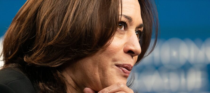 Trump y Harris cara a cara por primera vez: ¿Qué se espera del debate presidencial en EEUU?