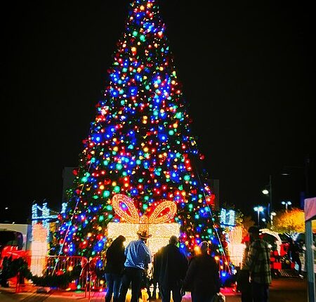 Encendido del árbol en Missouri será el 6 de diciembre