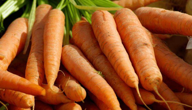 CDC advierten de un nuevo brote de E. coli vinculado a zanahorias orgánicas